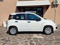 FIAT PANDA 1.2 Pop -NO OBBLIGO FINANZIAMENTO-