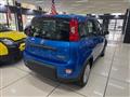 FIAT PANDA 1.0 FireFly S&S Hybrid con promo "PANERO PLUS"