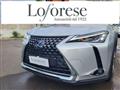 LEXUS UX Hybrid Business