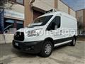 FORD TRANSIT Coibentato Isotermico Frigorifero