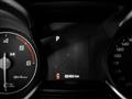 ALFA ROMEO STELVIO 2.2 Turbodiesel 190 CV AT8 Q4 Business