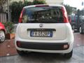 FIAT PANDA 1.2 PANDAZZURRI GPL