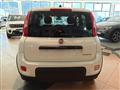 FIAT PANDA VAN Panda 1.0 S&S Hybrid Van 2 posti