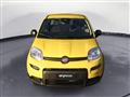 FIAT PANDA 1.0 FireFly S&S Hybrid Pandina