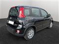 FIAT PANDA My23 1.0 70cv Hybrid Panda