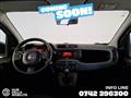 FIAT PANDA 1.0 FireFly S&S Hybrid - Ok Neopatentati