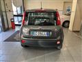 FIAT PANDA 1.2 Lounge 11.900