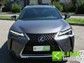 LEXUS UX Hybrid Executive