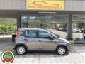 FIAT PANDA 1.0 FireFly S&S Hybrid OK NEOPATENTATI-  -