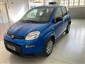 FIAT PANDA 1.0 FireFly S&S Hybrid adatta ai neopatentati