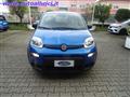 FIAT PANDA 1.0 FIREFLY 70 CV S&S HYBRID KM0