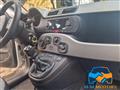 FIAT PANDA 1.2 Pop Star TAGLIANDI FIAT