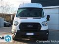 FORD TRANSIT 350 2.0TDCi EcoBlue 170cv PL-TM Furgone Tr