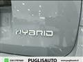 FIAT PANDA CROSS 1.0 FireFly S&S Hybrid