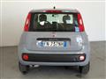 FIAT PANDA 1.2 benzina eu6 5 posti PER NEOPATENTATI