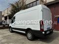 FORD TRANSIT Coibentato Isotermico Frigorifero