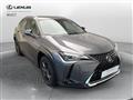 LEXUS UX Hybrid Executive