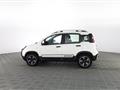 FIAT PANDA CROSS Panda Cross 1.0 FireFly S&S Hybrid