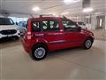 FIAT PANDA 1.2 Dynamic** NEOPATENTATI OK **