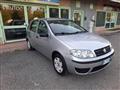 FIAT PUNTO 1.2 5 porte Active