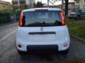 FIAT PANDA 1.0 FireFly S&S Hybrid Pandina