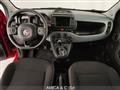 FIAT PANDA CROSS Panda Cross 1.0 FireFly S&S Hybrid