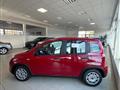 FIAT PANDA 1.0 MY23 Hybrid Clima automatico