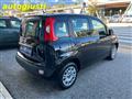 FIAT PANDA 1.2 Easy  70CV  ANCHE PER NEOPATENTATI