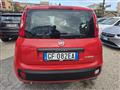 FIAT PANDA 1.0 FireFly S&S Hybrid Eas 5 posti no obbligo fina