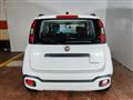 FIAT PANDA CROSS 1.0 Hybrid 70cv Cross+Clima Auto 36 Rate da 177,95