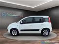 FIAT PANDA 1.2 69CV Lounge NEO PATENTATI