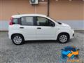 FIAT PANDA 1.2 Lounge  *DISTRIBUZIONE ESEGUITA*