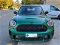 MINI Countryman 2.0 Cooper S Untamed auto