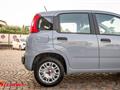 FIAT PANDA 1.2 Easy NEOPATENTATI