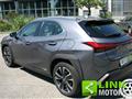 LEXUS UX Hybrid Executive