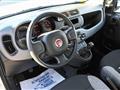 FIAT PANDA CROSS 1.0 FireFly S&S Hybrid 70cv 5P.TI