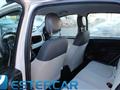 FIAT PANDA 1.2 Easy NEOPATENTATI