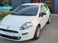 FIAT PUNTO 1.3 MJT II S&S 95 CV 5 porte Street