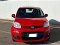 FIAT PANDA 1.3 MJT 80 CV S&S Easy