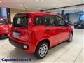 FIAT PANDA 1.0 FireFly S&S Hybrid+5 posti--7.250KM