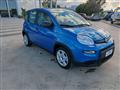 FIAT Panda 1.0 firefly hybrid s&s 70cv