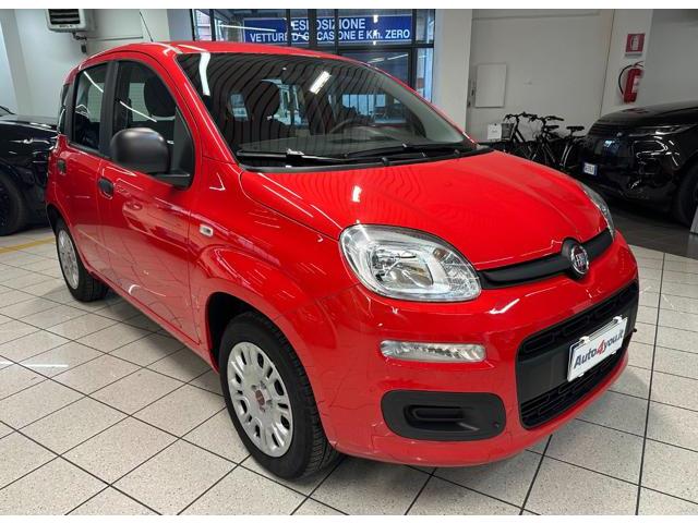 FIAT PANDA 1.2 Easy - NEOPATENTATO - UNICO PROPRIETARIO