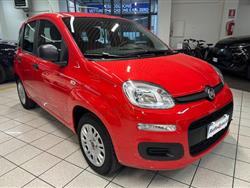 FIAT PANDA 1.2 Easy - NEOPATENTATO - UNICO PROPRIETARIO