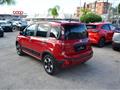 FIAT PANDA CROSS 1.0 FireFly S&S Hybrid