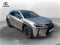 LEXUS UX Hybrid Luxury