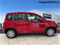 FIAT PANDA 1.0 FireFly S&S Hybrid Pandina