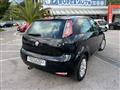 FIAT PUNTO 1.3 MJT II S&S 85 CV 5 porte ECO Lounge