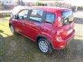 FIAT PANDA 1.0 FireFly S&S Hybrid Pandina