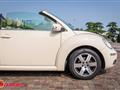 VOLKSWAGEN NEW BEETLE 1.6 Cabrio