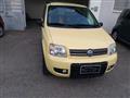 FIAT PANDA 1.2 4x4-E.L.D. Climbing